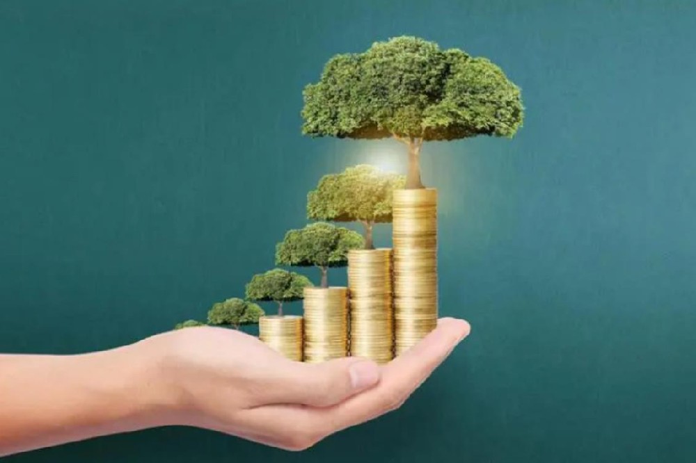 重庆民间空放私人借款全天候专业服务